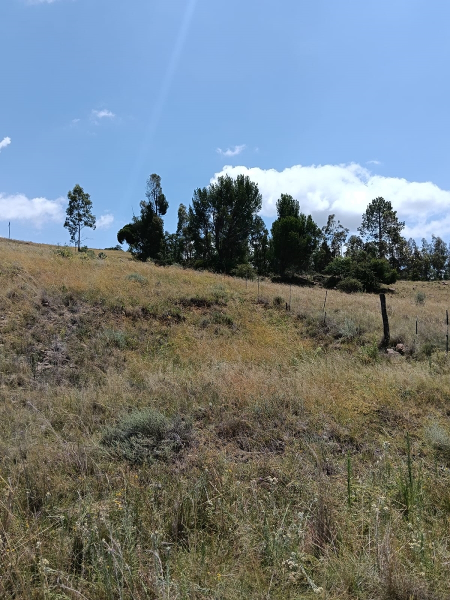 0 Bedroom Property for Sale in Lindley Rural Free State